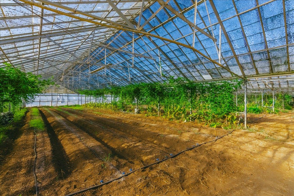 Detail Gallery Image 35 of 66 For 371 Calabasas Rd, Watsonville,  CA 95076 - – Beds | – Baths