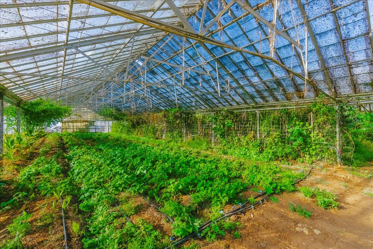 Detail Gallery Image 36 of 66 For 371 Calabasas Rd, Watsonville,  CA 95076 - – Beds | – Baths