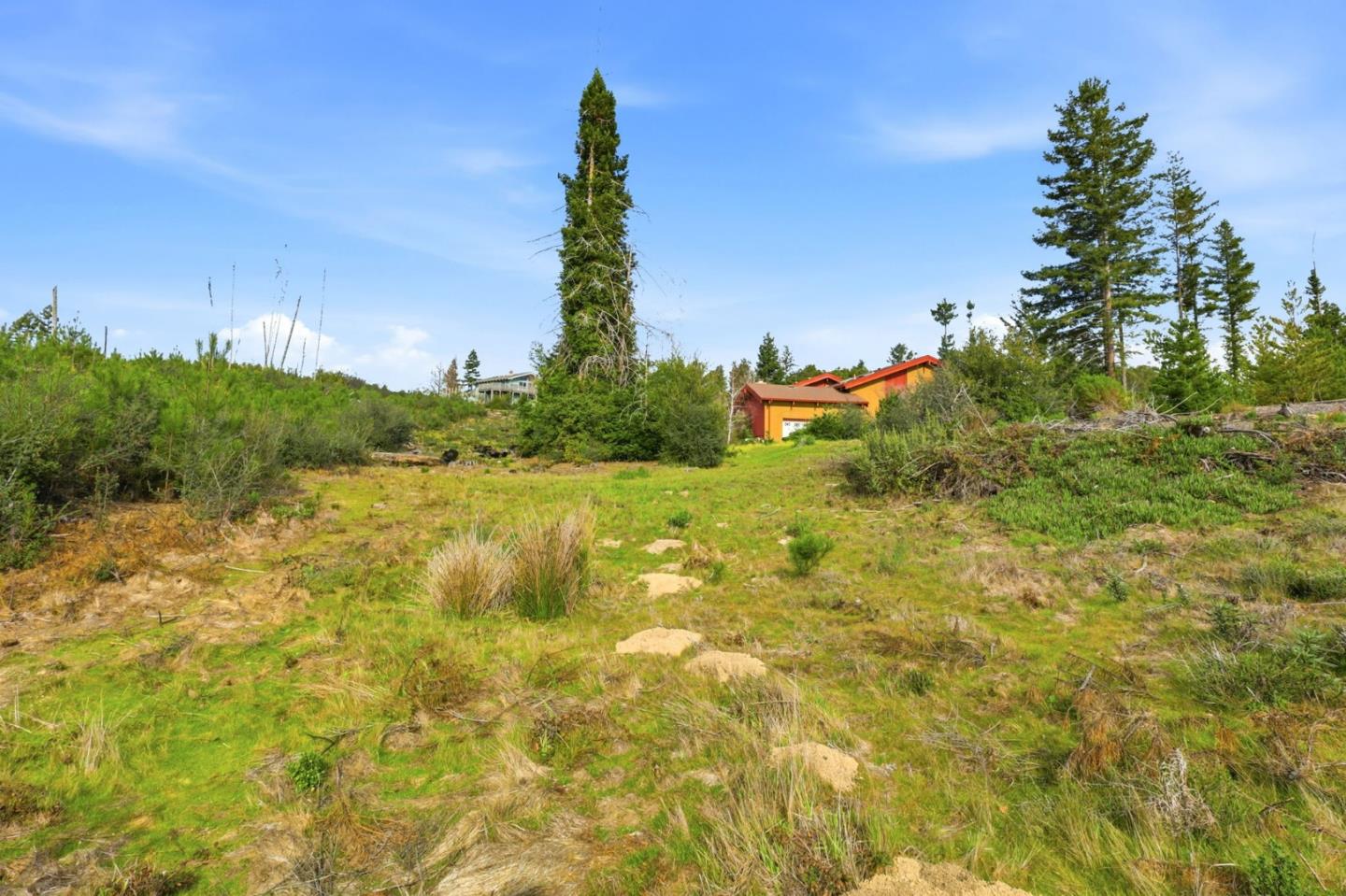 Detail Gallery Image 51 of 61 For 590 Pineridge Rd, Santa Cruz,  CA 95060 - 3 Beds | 2 Baths