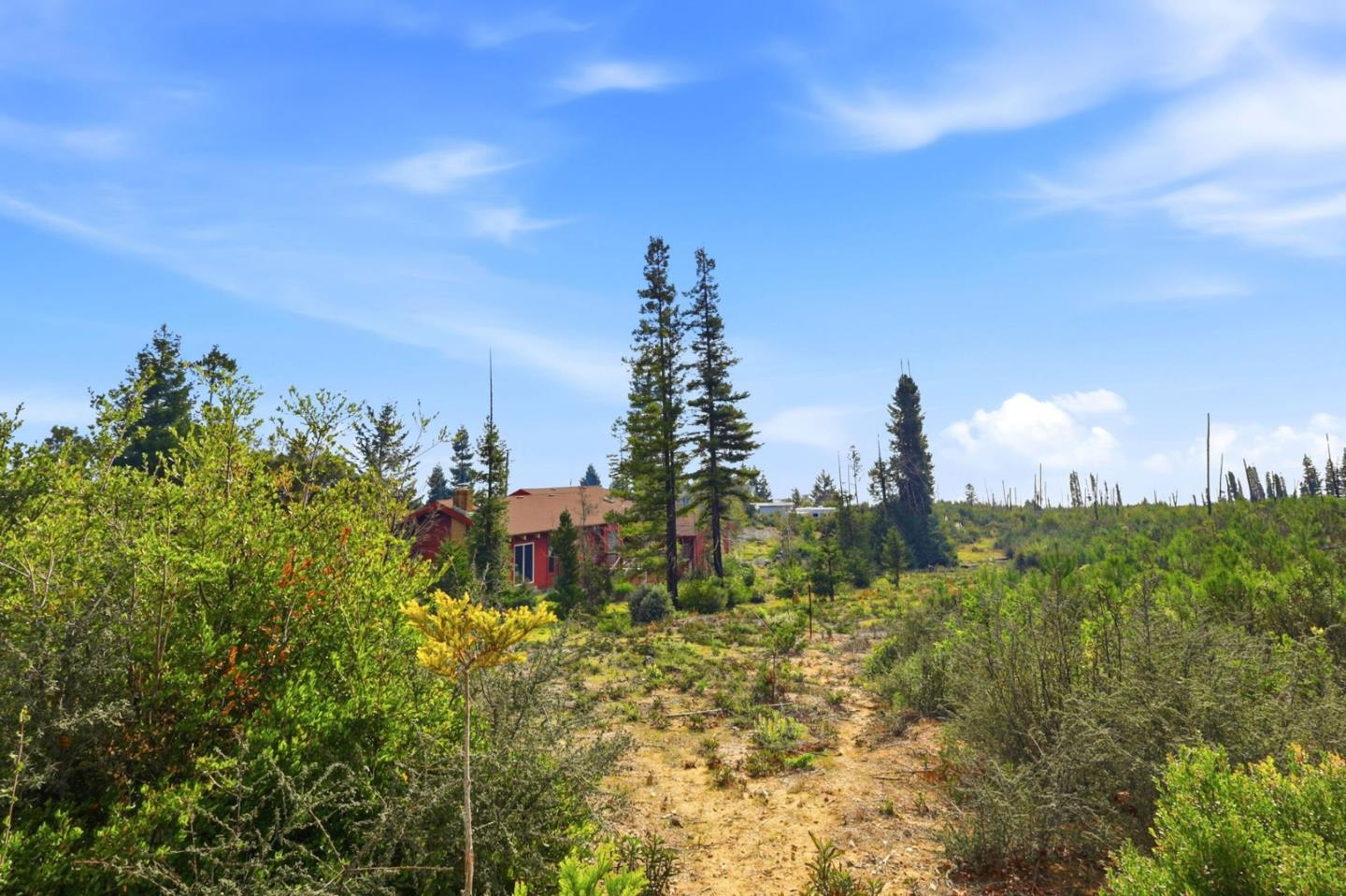 Detail Gallery Image 52 of 61 For 590 Pineridge Rd, Santa Cruz,  CA 95060 - 3 Beds | 2 Baths