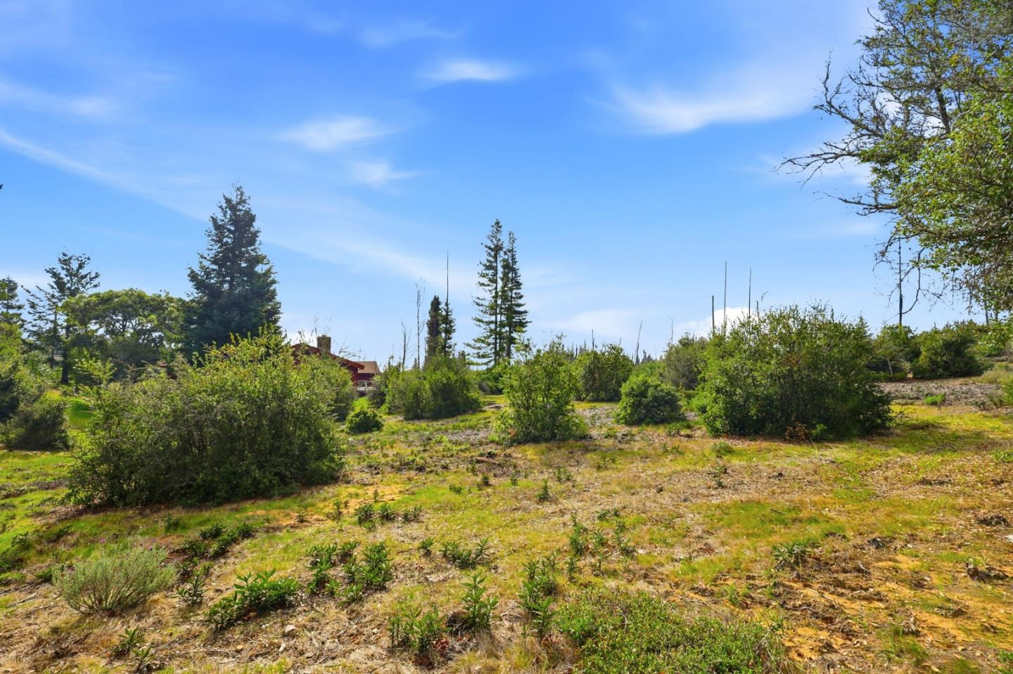 Detail Gallery Image 53 of 61 For 590 Pineridge Rd, Santa Cruz,  CA 95060 - 3 Beds | 2 Baths