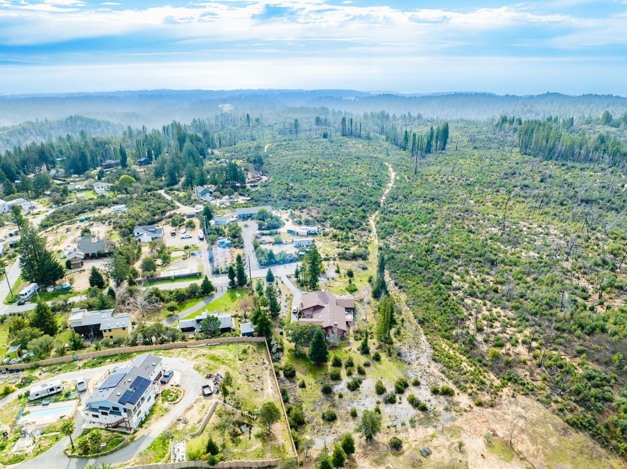 Detail Gallery Image 59 of 61 For 590 Pineridge Rd, Santa Cruz,  CA 95060 - 3 Beds | 2 Baths