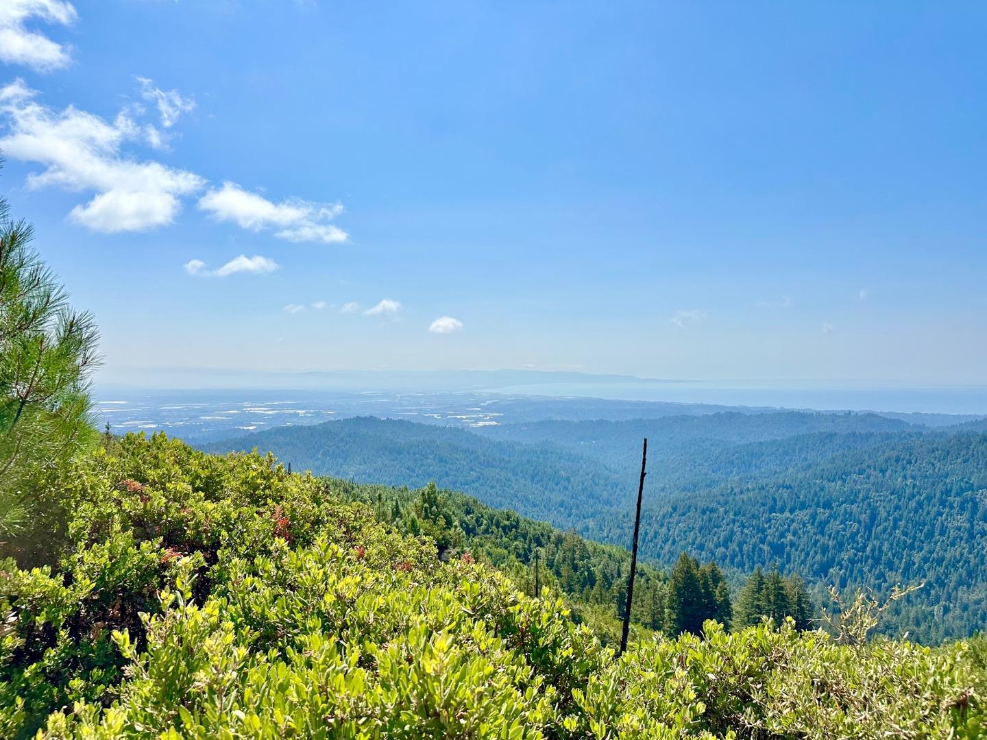 Detail Gallery Image 22 of 22 For 0 Ormsby Cutoff, Watsonville,  CA 95076 - – Beds | – Baths