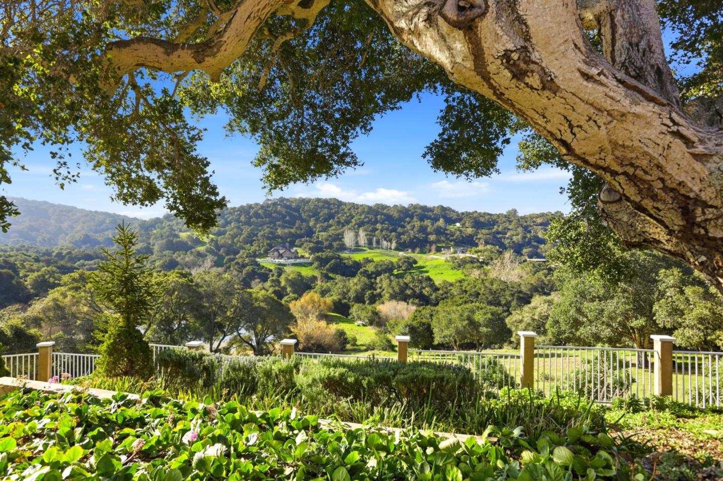 Detail Gallery Image 26 of 37 For 20160 Rock Springs Ln, Aromas,  CA 95004 - 4 Beds | 2/1 Baths