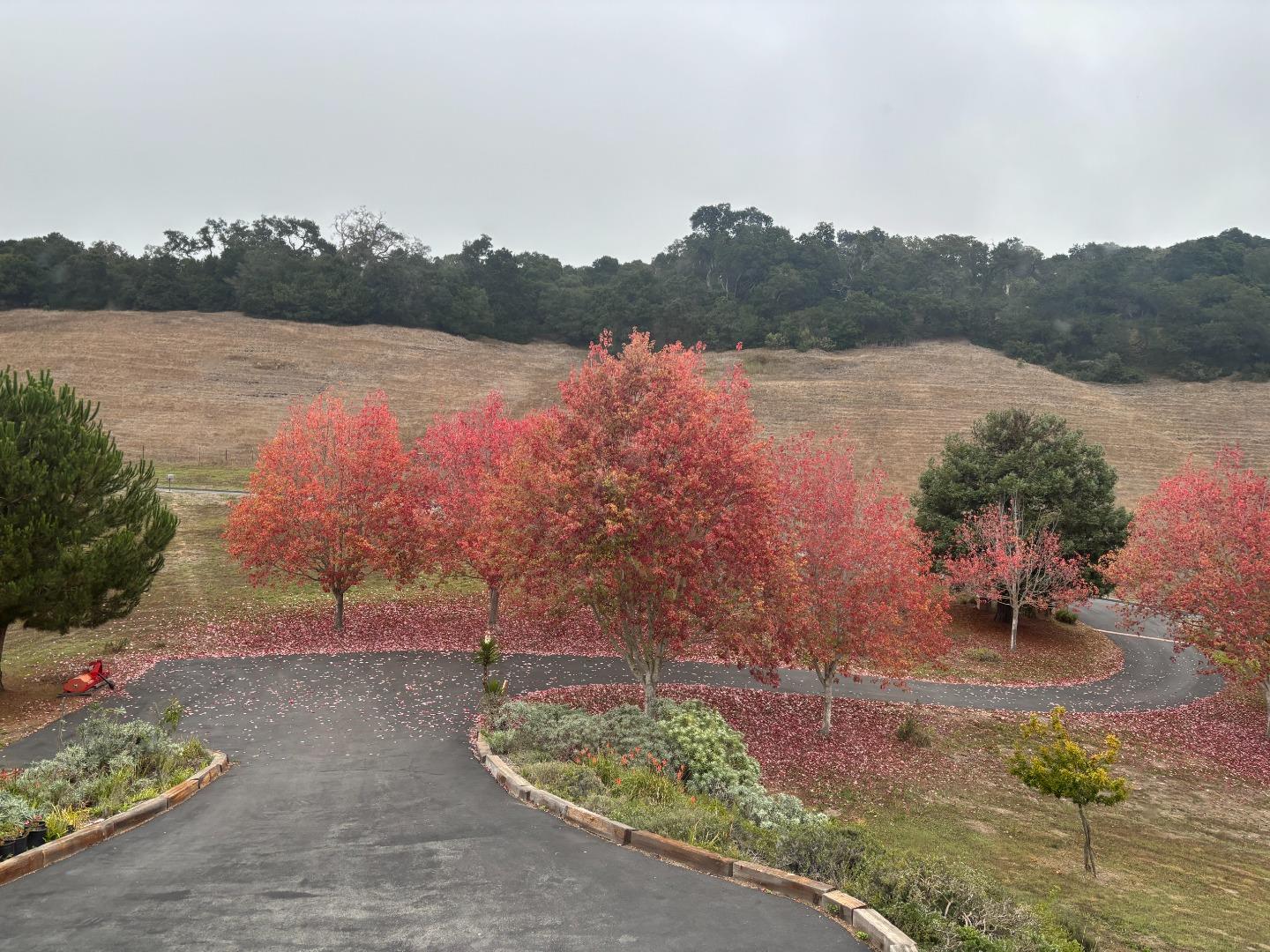 Detail Gallery Image 33 of 37 For 20160 Rock Springs Ln, Aromas,  CA 95004 - 4 Beds | 2/1 Baths