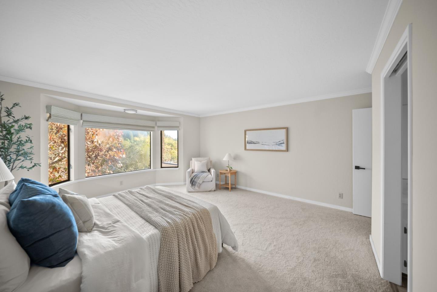 Detail Gallery Image 36 of 77 For 209 Calcita Dr, Santa Cruz,  CA 95060 - 4 Beds | 3/1 Baths