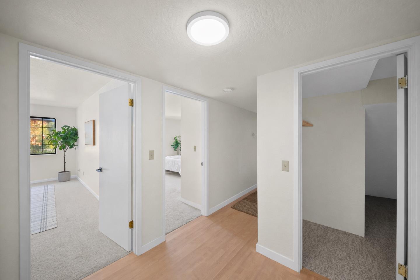 Detail Gallery Image 69 of 77 For 209 Calcita Dr, Santa Cruz,  CA 95060 - 4 Beds | 3/1 Baths