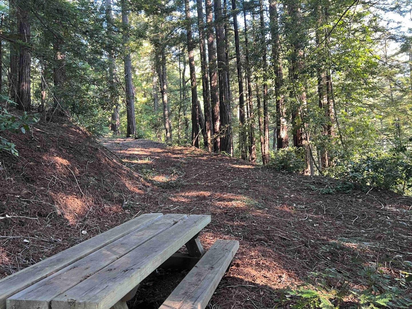 Detail Gallery Image 107 of 107 For 950 Oak Ridge Rd, Los Gatos,  CA 95033 - 3 Beds | 2/1 Baths