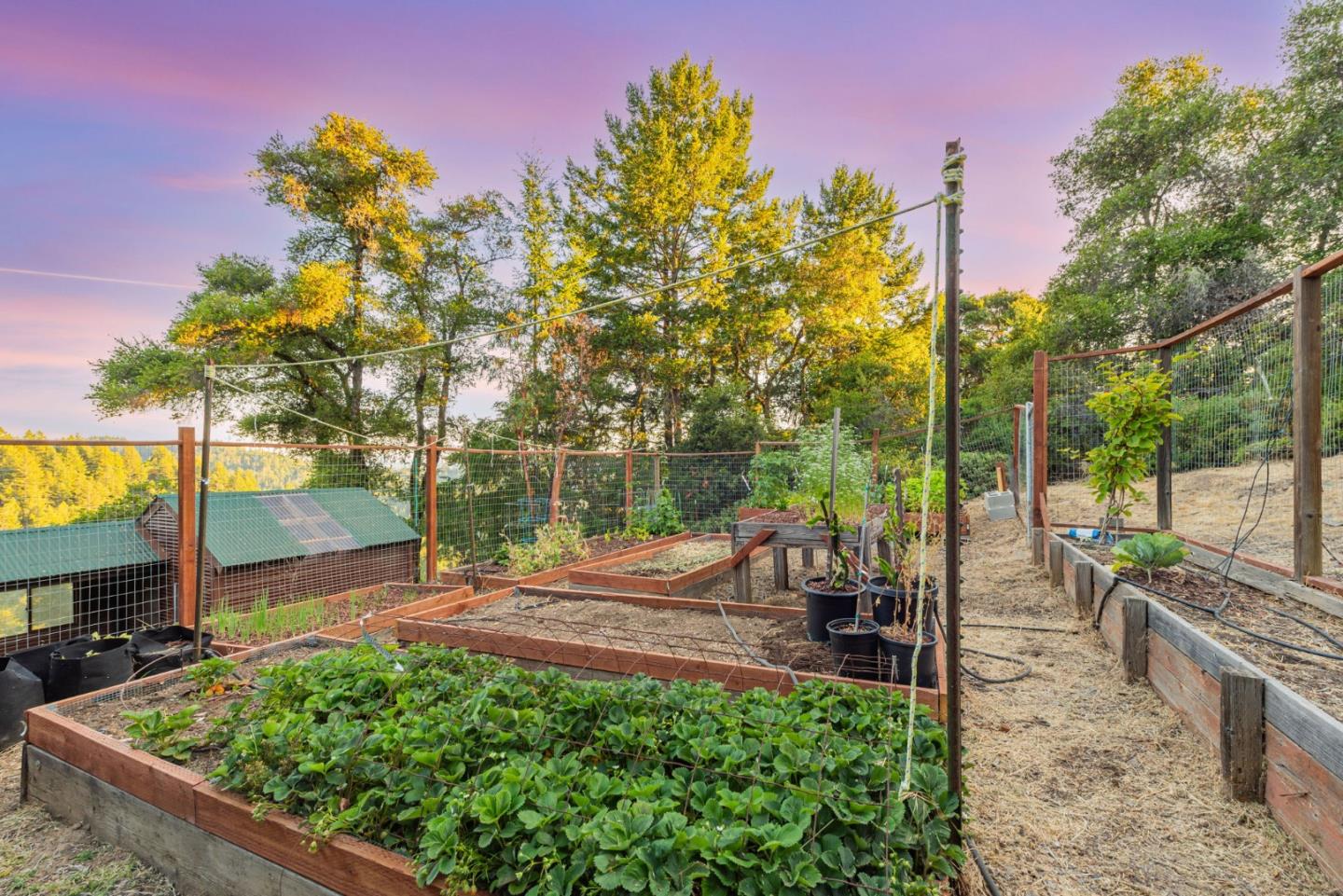 Detail Gallery Image 78 of 107 For 950 Oak Ridge Rd, Los Gatos,  CA 95033 - 3 Beds | 2/1 Baths