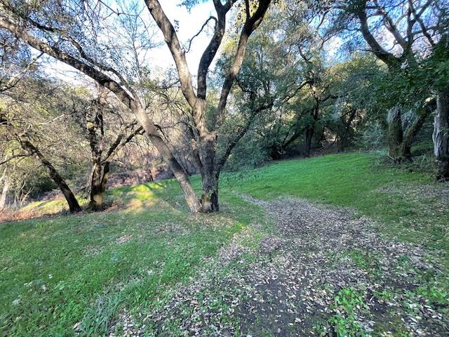 Detail Gallery Image 15 of 29 For 00 Almaden, San Jose,  CA 95120 - – Beds | – Baths