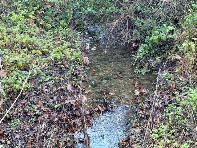 Detail Gallery Image 25 of 29 For 00 Almaden, San Jose,  CA 95120 - – Beds | – Baths