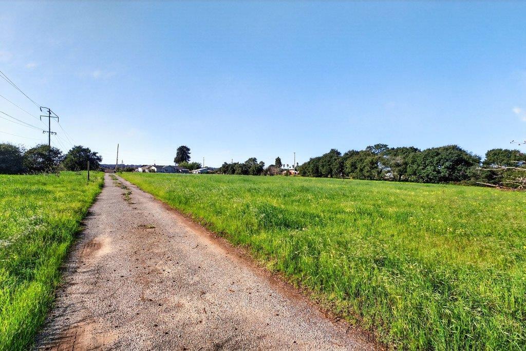 Detail Gallery Image 14 of 45 For 145 Bencich Ln, Watsonville,  CA 95076 - 1 Beds | 1 Baths