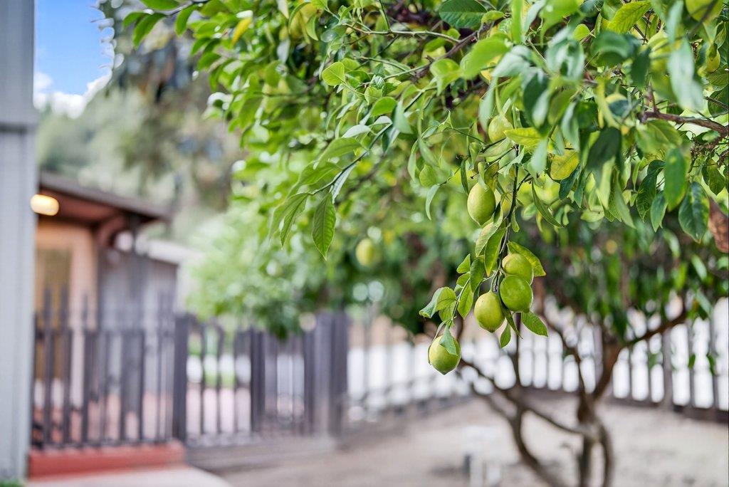 Detail Gallery Image 48 of 69 For 1455 Fern Flat Rd, Aptos,  CA 95003 - 3 Beds | 2 Baths