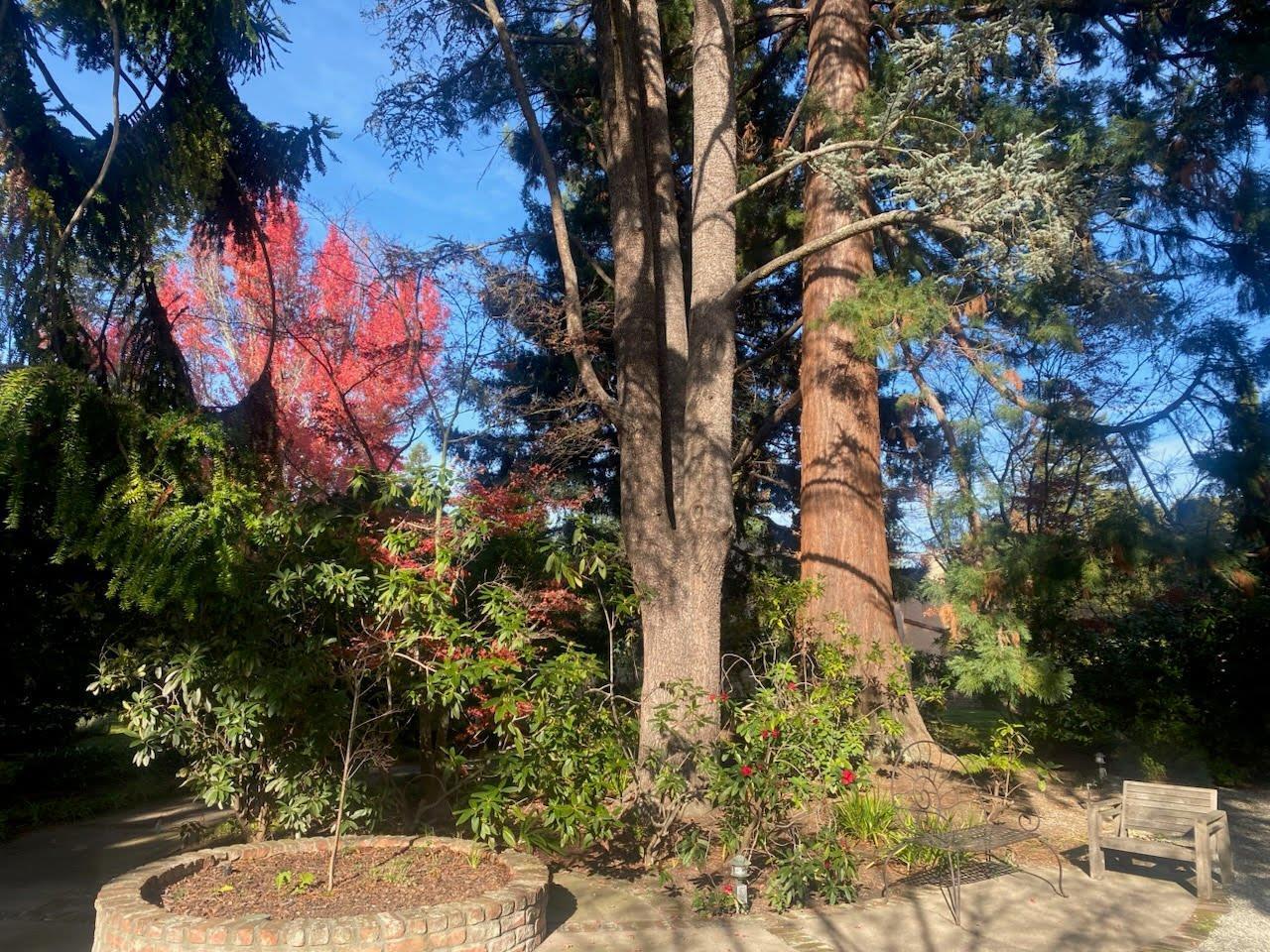 Detail Gallery Image 23 of 52 For 269 Selby Ln, Atherton,  CA 94027 - 6 Beds | 4/1 Baths