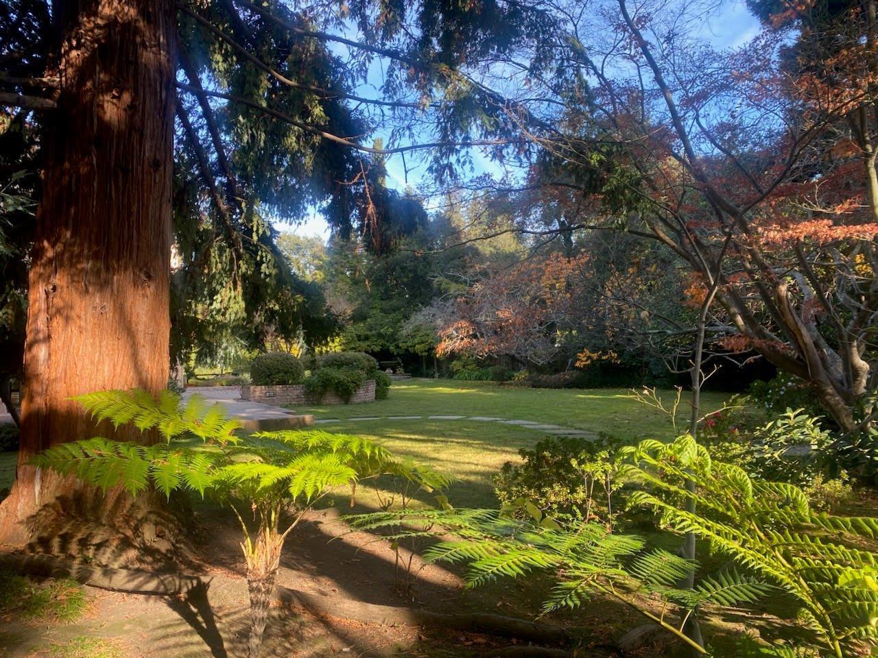 Detail Gallery Image 25 of 52 For 269 Selby Ln, Atherton,  CA 94027 - 6 Beds | 4/1 Baths