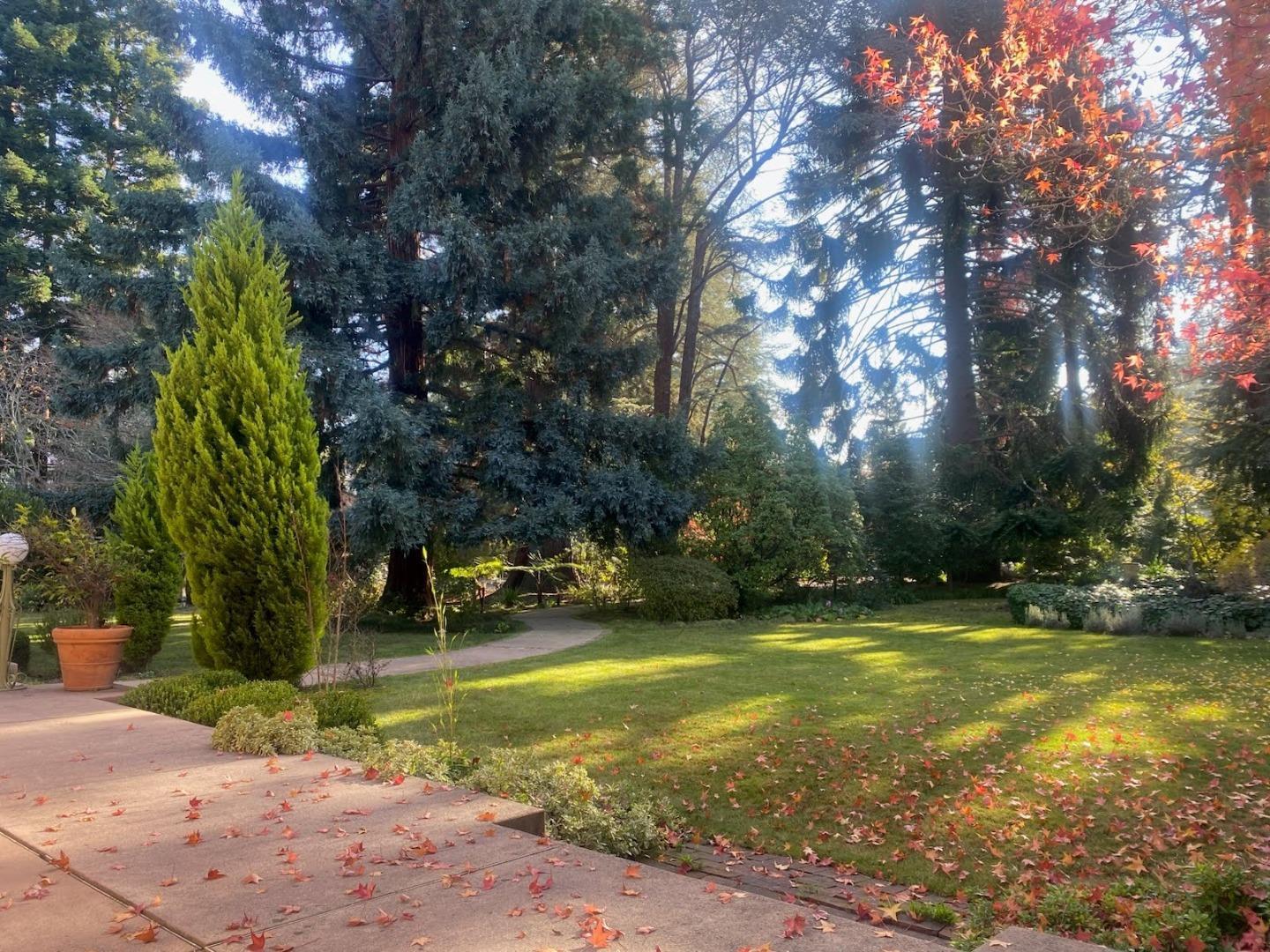 Detail Gallery Image 33 of 52 For 269 Selby Ln, Atherton,  CA 94027 - 6 Beds | 4/1 Baths