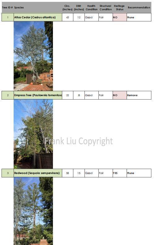 Detail Gallery Image 47 of 52 For 269 Selby Ln, Atherton,  CA 94027 - 6 Beds | 4/1 Baths