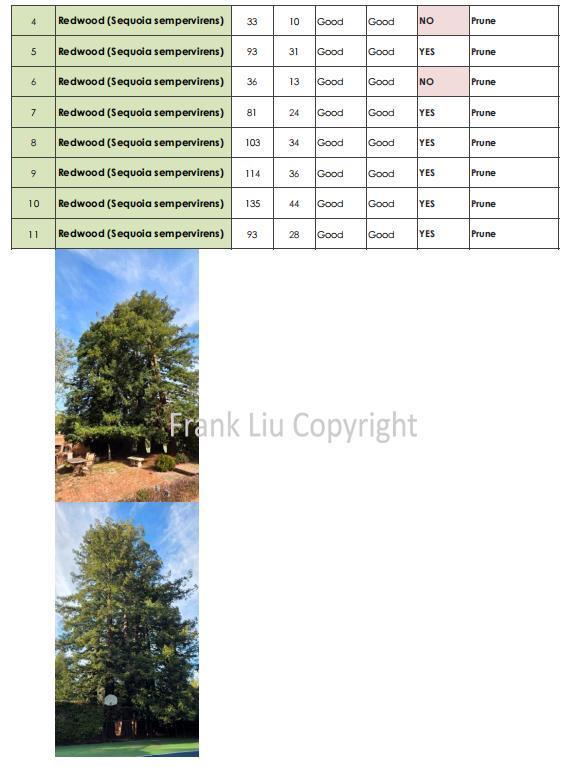 Detail Gallery Image 48 of 52 For 269 Selby Ln, Atherton,  CA 94027 - 6 Beds | 4/1 Baths