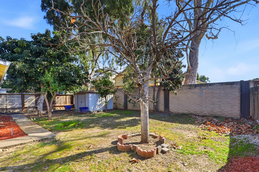 Detail Gallery Image 19 of 21 For 2344 Pacheco, San Jose,  CA 95133 - 3 Beds | 2 Baths