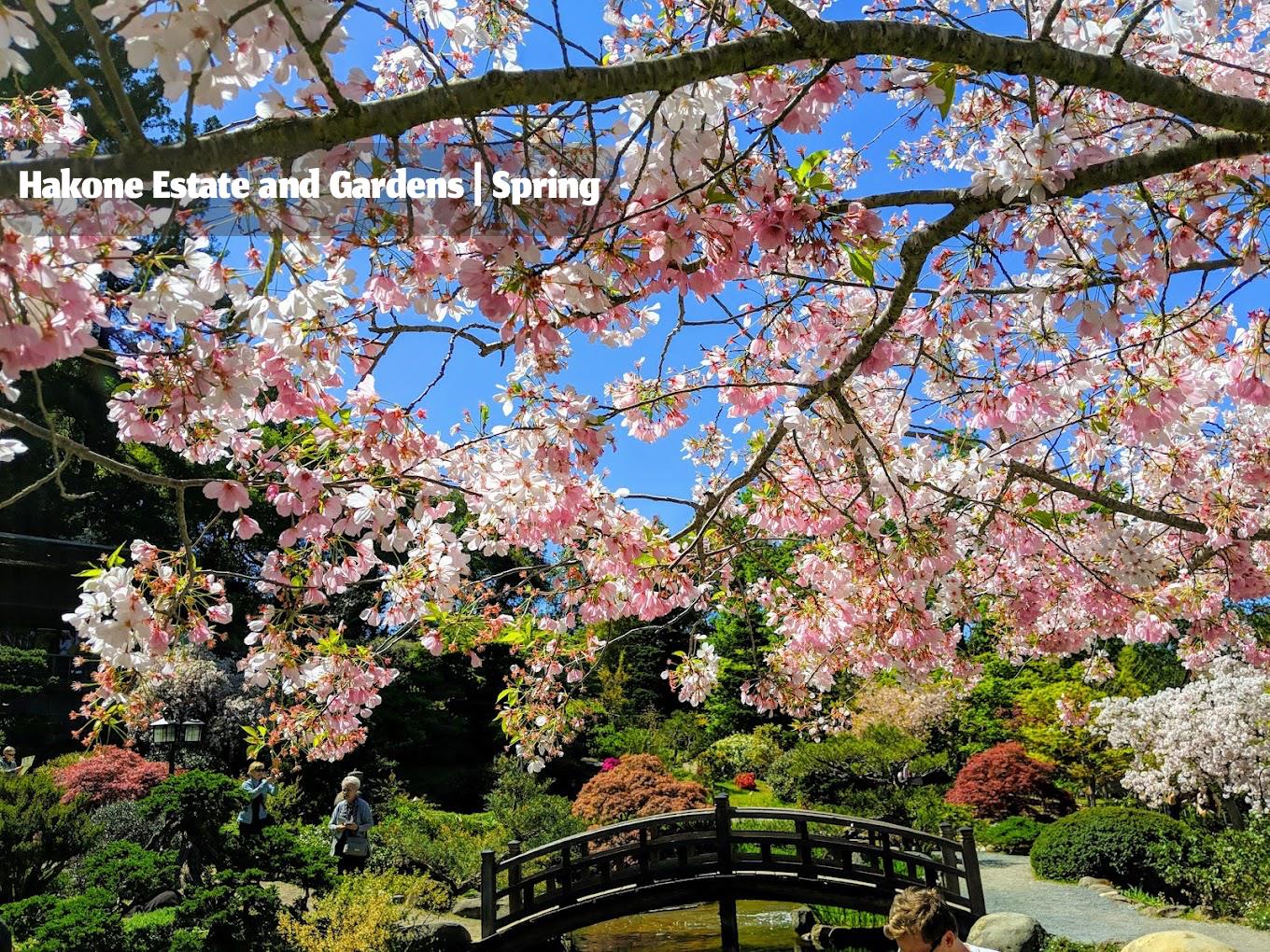 Detail Gallery Image 57 of 61 For 14648 Placida Ct, Saratoga,  CA 95070 - 3 Beds | 2/1 Baths