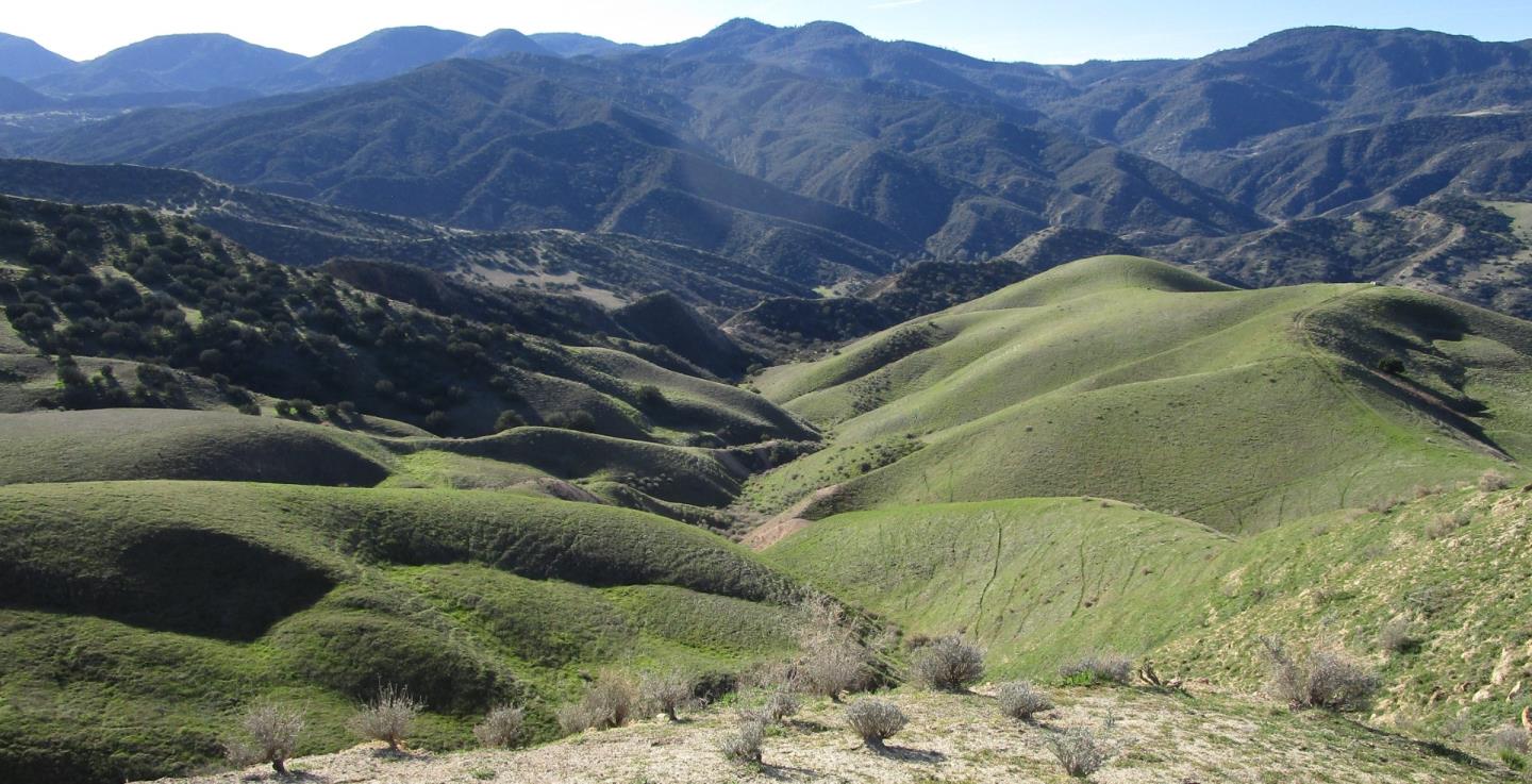 19825 New Idria Road, Paicines, CA, 95043