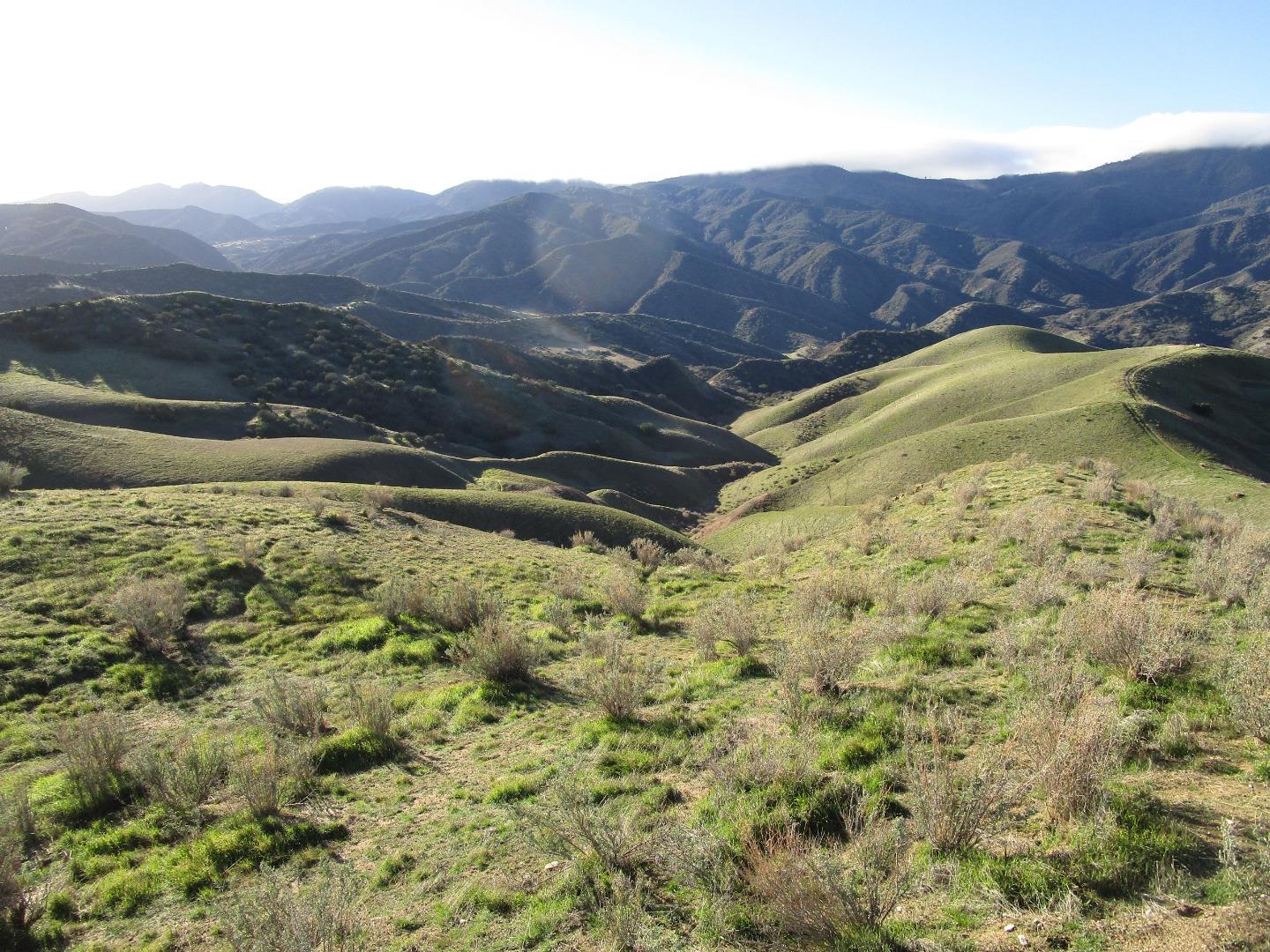 Detail Gallery Image 32 of 35 For 19825 New Idria Rd, Paicines,  CA 95043 - 6 Beds | 3 Baths