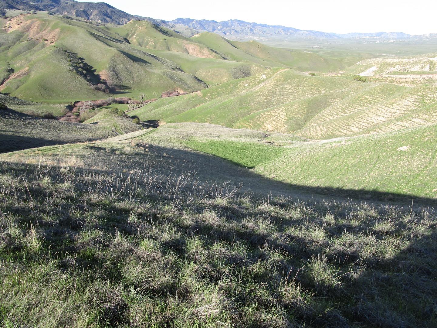 Detail Gallery Image 34 of 35 For 19825 New Idria Rd, Paicines,  CA 95043 - 6 Beds | 3 Baths