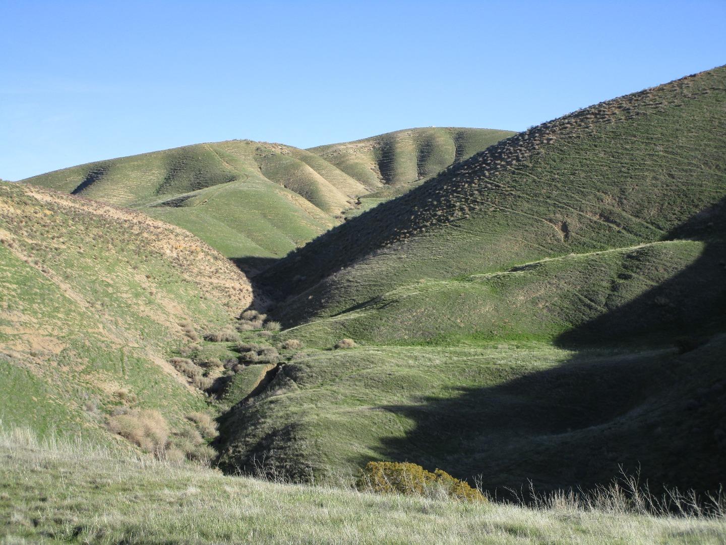 Detail Gallery Image 35 of 35 For 19825 New Idria Rd, Paicines,  CA 95043 - 6 Beds | 3 Baths