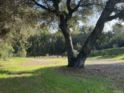 Detail Gallery Image 26 of 40 For 2100 Woods Lane, Los Altos,  CA 94022 - – Beds | – Baths