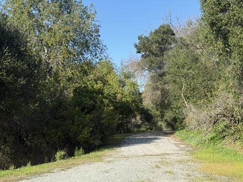 2100 Woods Lane, Los Altos, CA, 94022