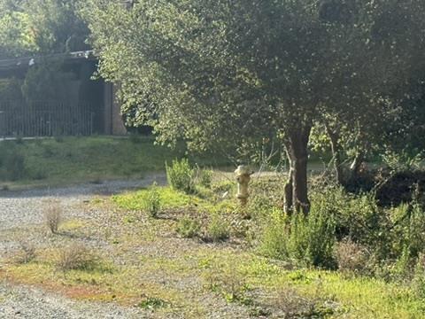 2100 Woods Lane, Los Altos, CA, 94022