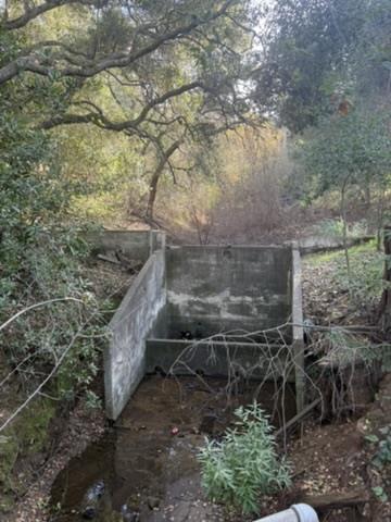 Detail Gallery Image 39 of 40 For 2100 Woods Lane, Los Altos,  CA 94022 - – Beds | – Baths