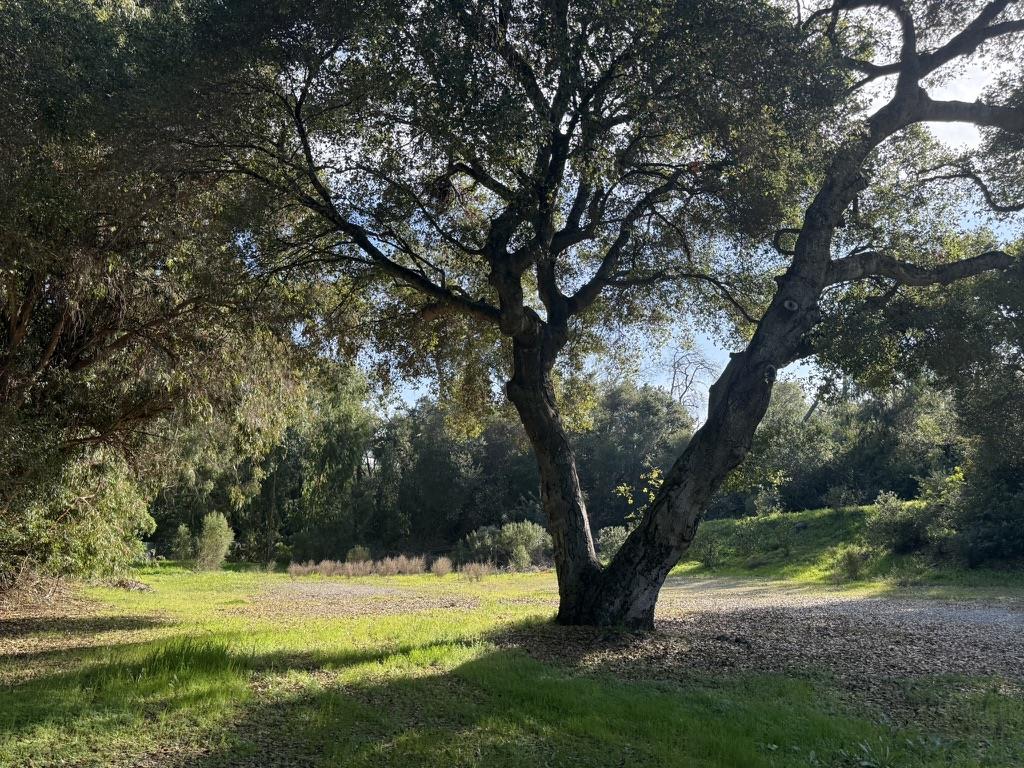 2100 Woods Lane, Los Altos, CA, 94022