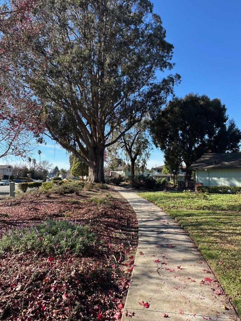 Detail Gallery Image 20 of 22 For 922 Ponselle Ln #3,  Capitola,  CA 95010 - 2 Beds | 1 Baths