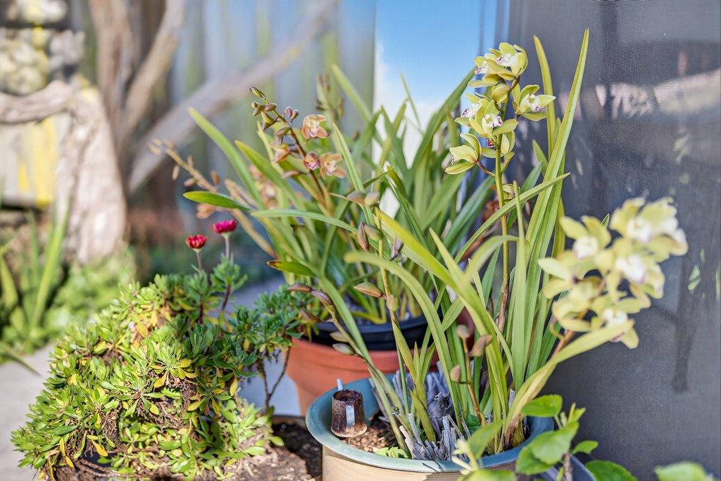 Detail Gallery Image 14 of 26 For 3555 Sevilla Dr, Soquel,  CA 95073 - 3 Beds | 2 Baths