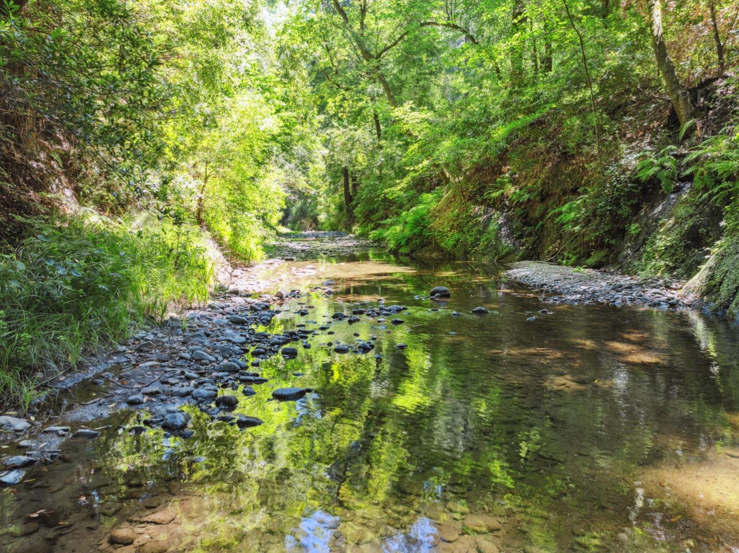 Detail Gallery Image 42 of 42 For 200 Shady Ln, Boulder Creek,  CA 95006 - 4 Beds | 3 Baths