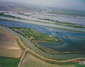 Front Image Thumbnail for ML82032701