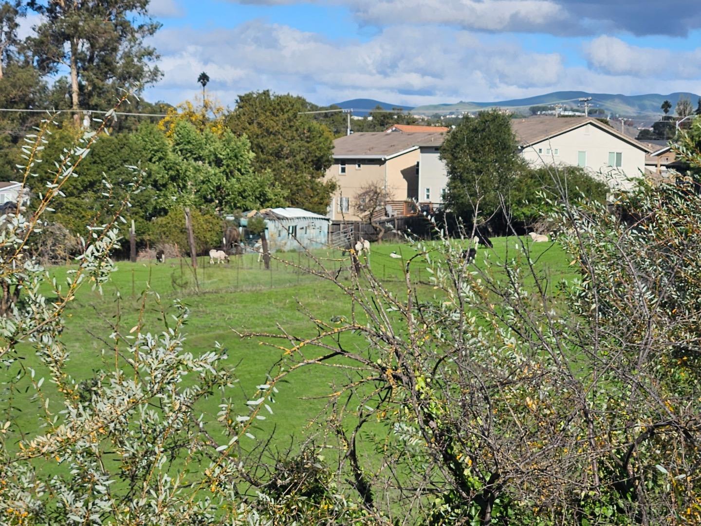 Detail Gallery Image 2 of 47 For 23022 Palazzo Del Kayla, Hayward,  CA 94541 - 4 Beds | 2/1 Baths