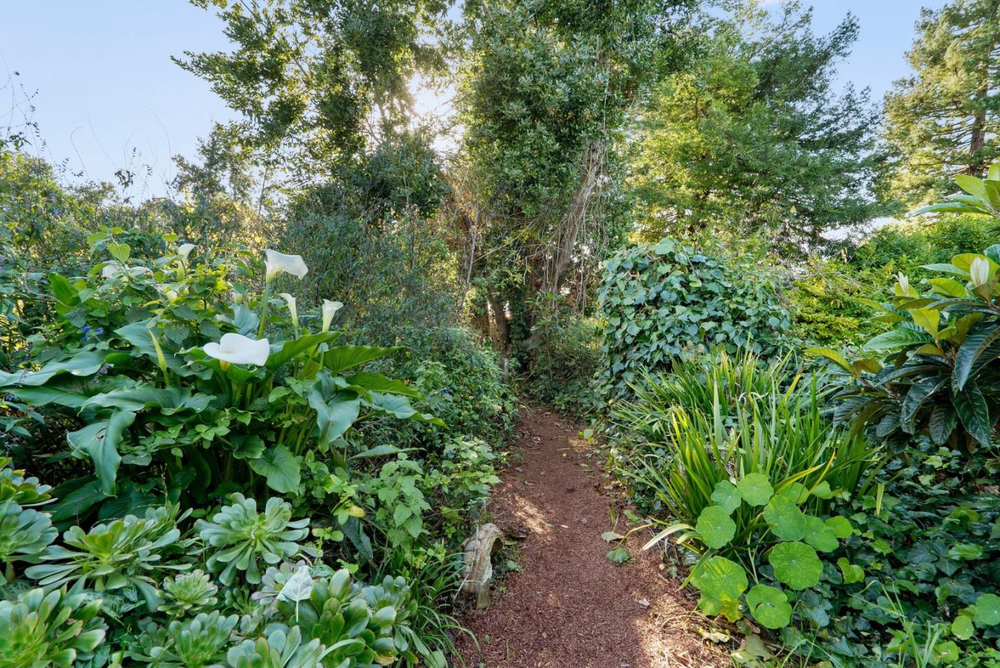 Detail Gallery Image 33 of 48 For 131 Spring St, Santa Cruz,  CA 95060 - 3 Beds | 1/1 Baths