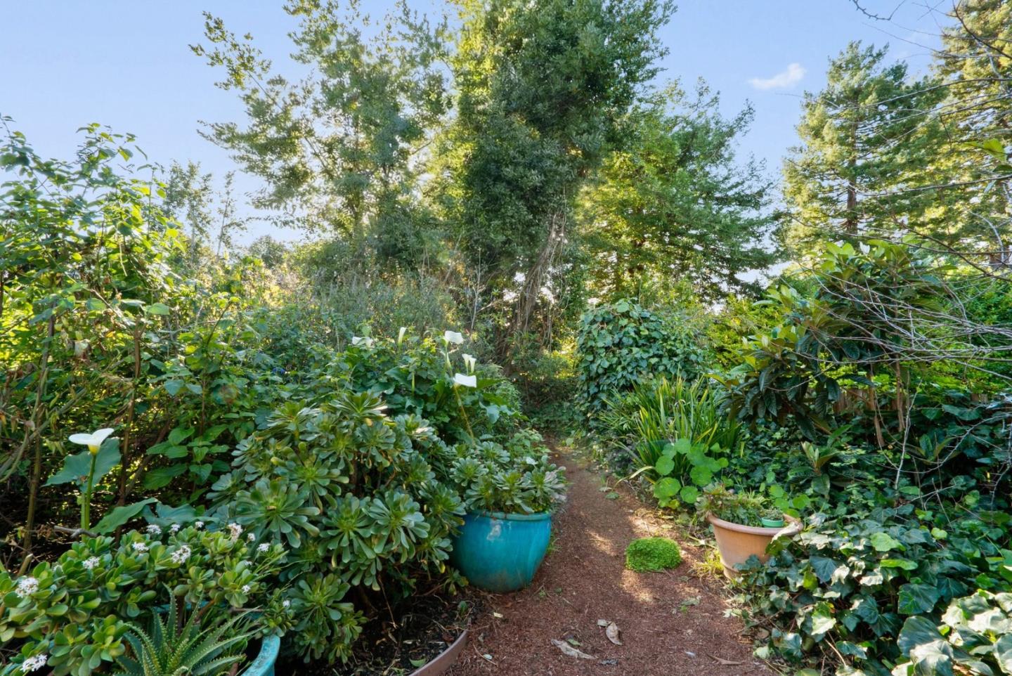 Detail Gallery Image 34 of 48 For 131 Spring St, Santa Cruz,  CA 95060 - 3 Beds | 1/1 Baths