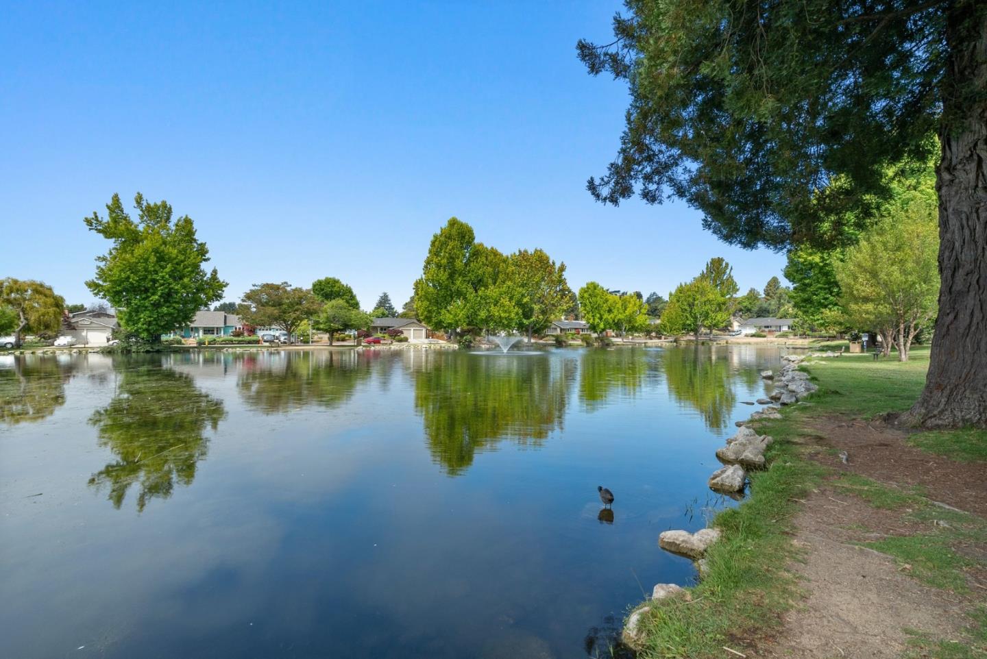 Detail Gallery Image 45 of 48 For 131 Spring St, Santa Cruz,  CA 95060 - 3 Beds | 1/1 Baths