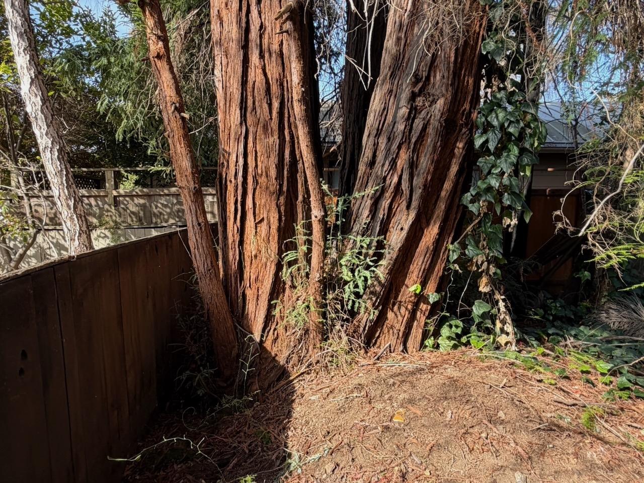 Detail Gallery Image 7 of 28 For 412 Guinda St, Palo Alto,  CA 94301 - 2 Beds | 1 Baths