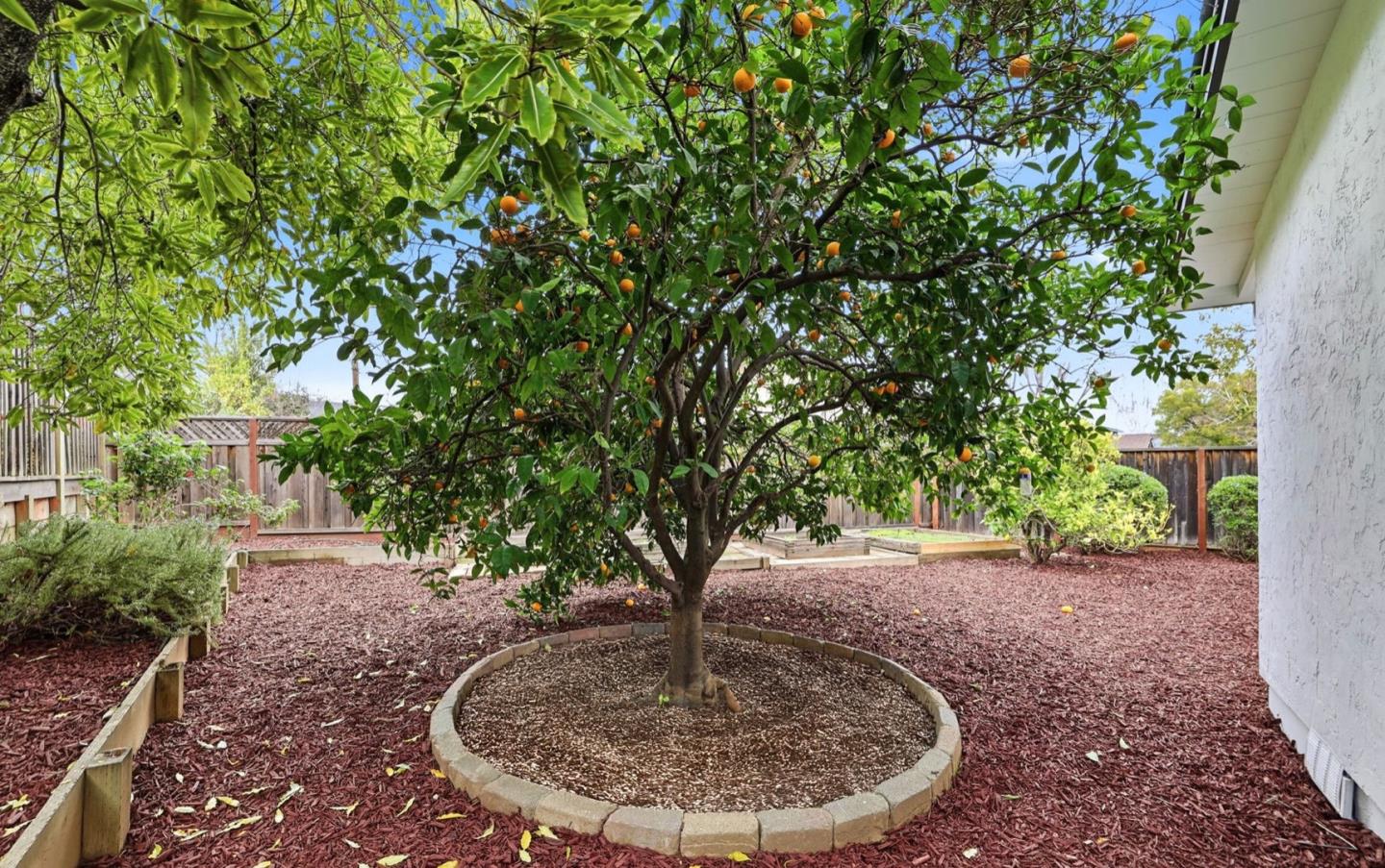 Detail Gallery Image 48 of 50 For 1790 Karameos Ct, Sunnyvale,  CA 94087 - 4 Beds | 2/1 Baths