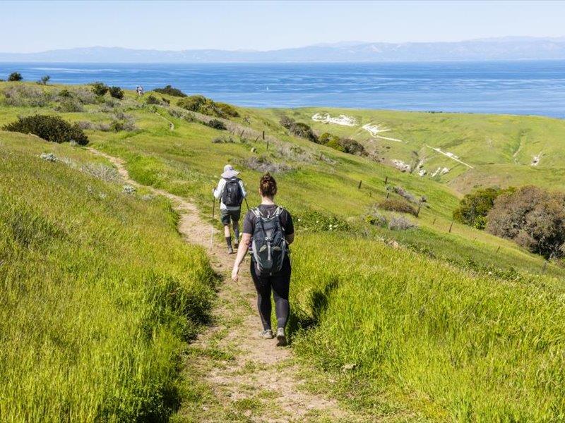 Detail Gallery Image 30 of 31 For 218 Wilkes Cir, Santa Cruz,  CA 95060 - 1 Beds | 1 Baths