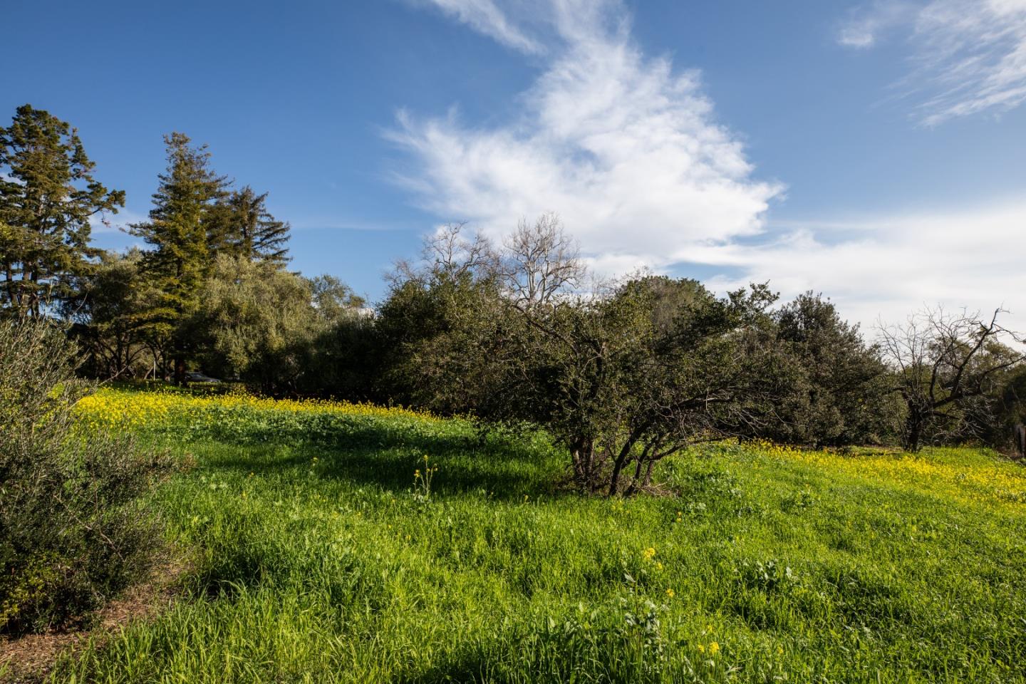 Detail Gallery Image 14 of 49 For 4127 Old Adobe Rd, Palo Alto,  CA 94306 - 3 Beds | 4 Baths