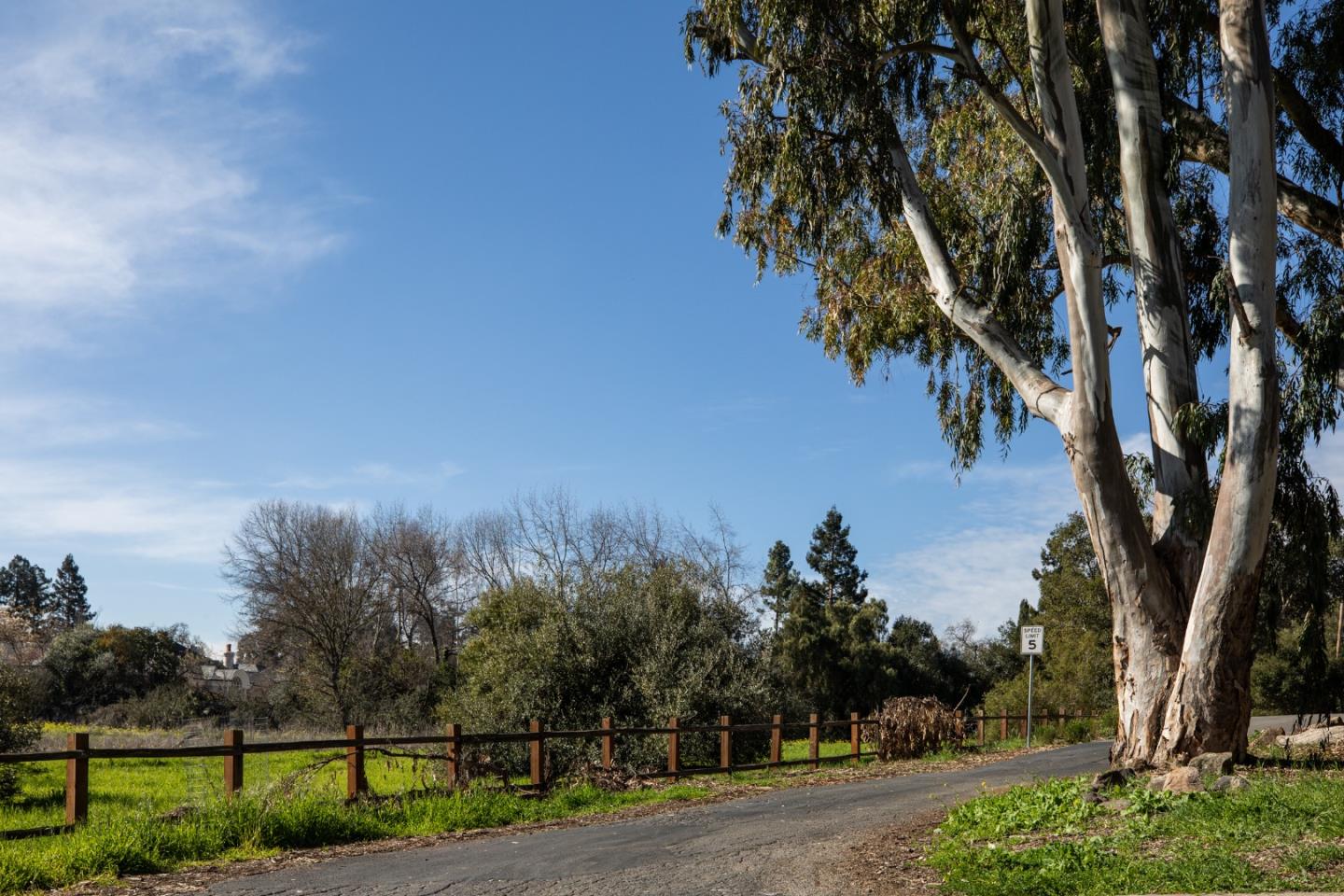 Detail Gallery Image 34 of 49 For 4127 Old Adobe Rd, Palo Alto,  CA 94306 - 3 Beds | 4 Baths