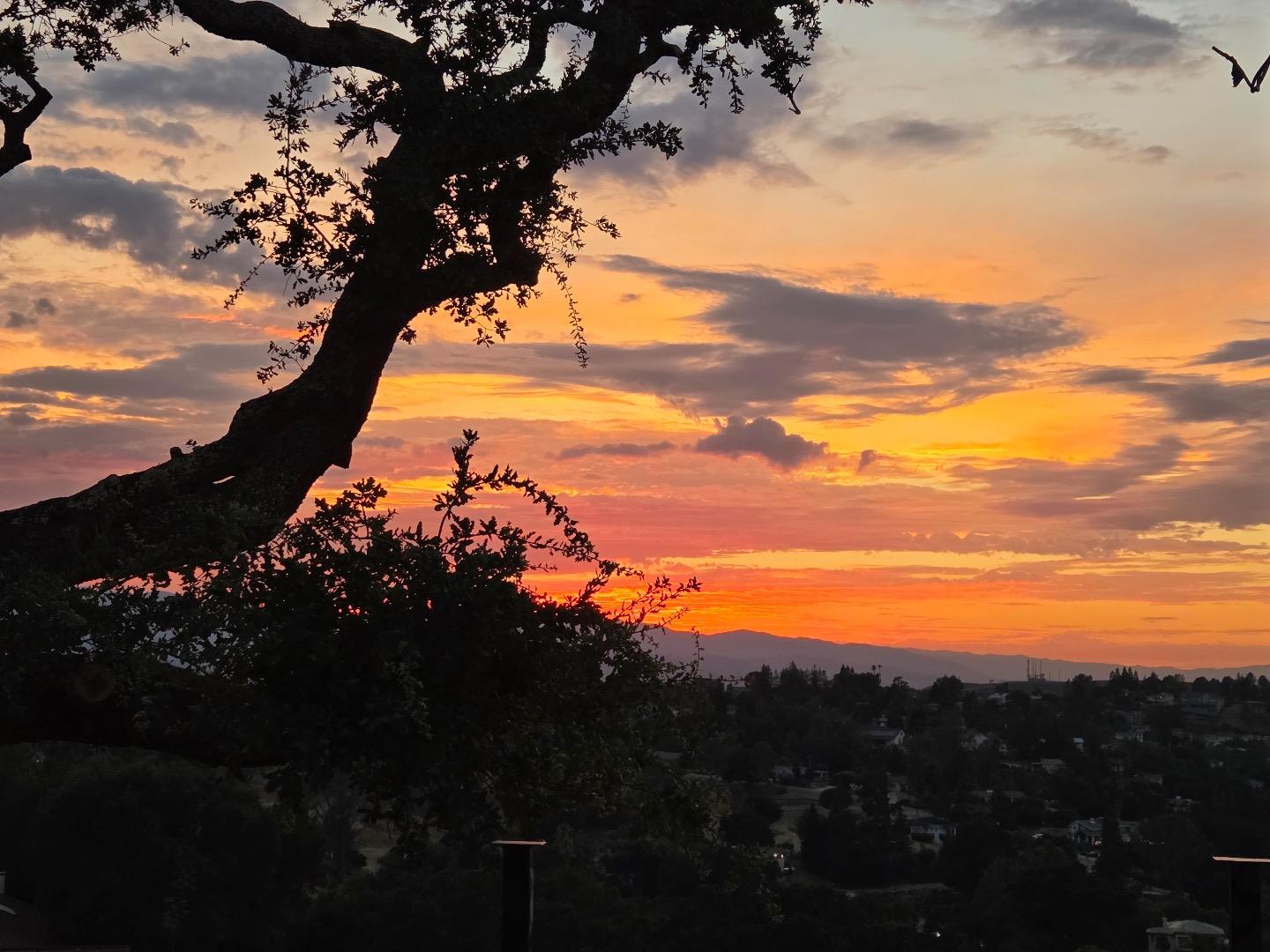 Detail Gallery Image 41 of 65 For 15860 Jackson Oaks Dr, Morgan Hill,  CA 95037 - 6 Beds | 6/1 Baths