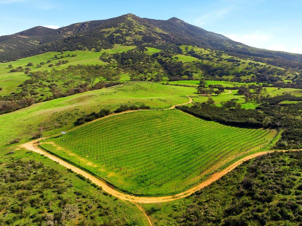 Detail Gallery Image 42 of 48 For 31251 Highway 146, Soledad,  CA 93960 - 3 Beds | 2/1 Baths