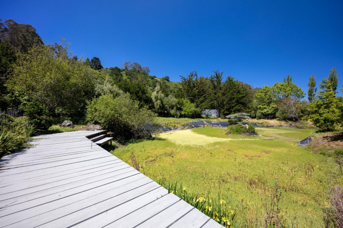 Detail Gallery Image 43 of 51 For 1770 Higgins Canyon Rd, Half Moon Bay,  CA 94019 - – Beds | – Baths