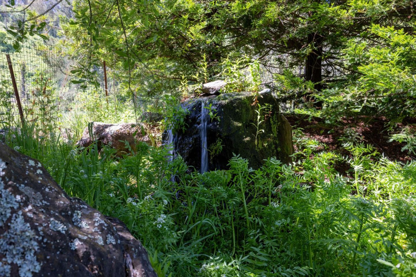 Detail Gallery Image 44 of 51 For 1770 Higgins Canyon Rd, Half Moon Bay,  CA 94019 - – Beds | – Baths